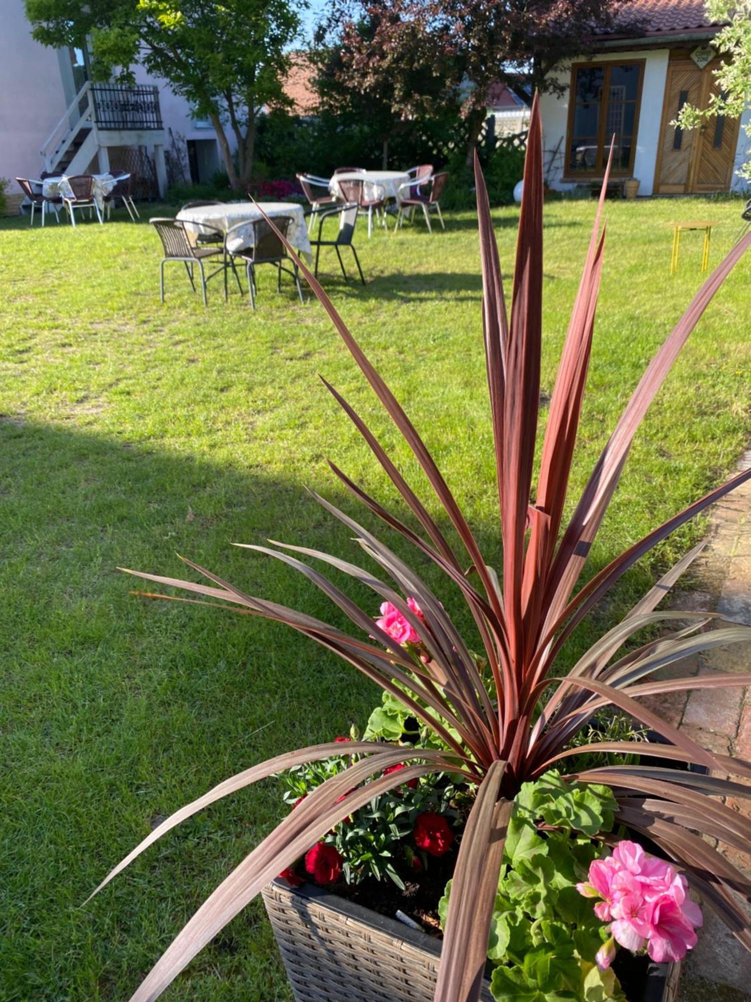 Guest House Wiejska Sielanka Brody  Екстериор снимка